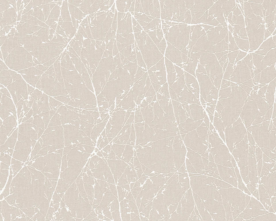 Elegance 3