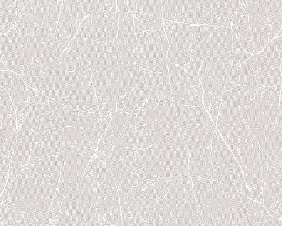 Elegance 3