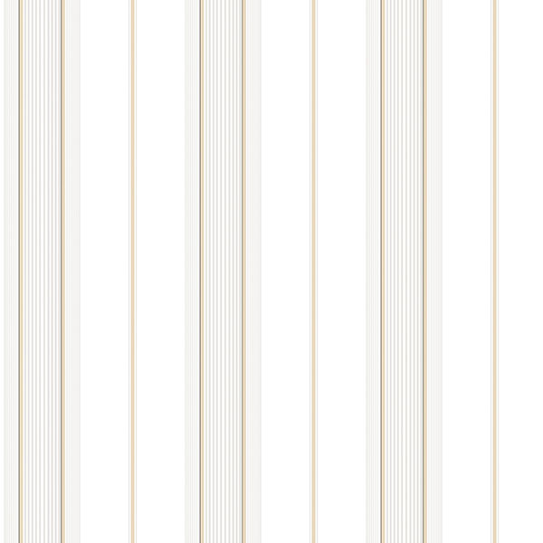 Smart Stripes 2