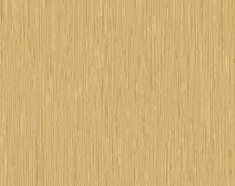 Alta Gamma Evolution 2