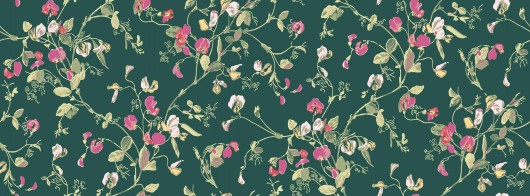 Botanical