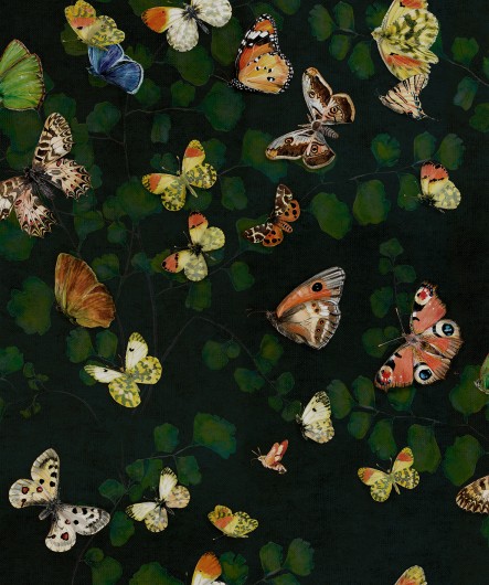 NATURAE