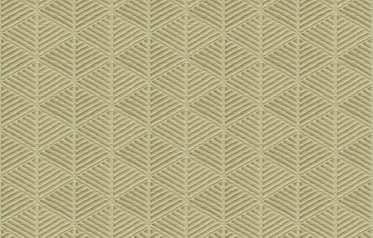 TATAMI